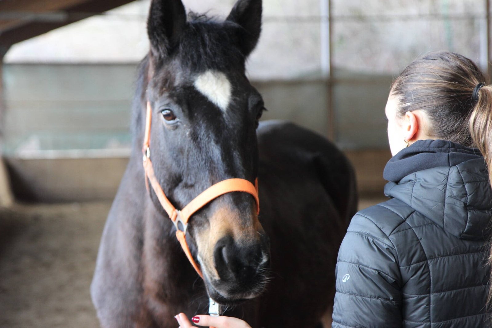 Una partecipante di fronte a un cavallo durante un workshop Smile Up