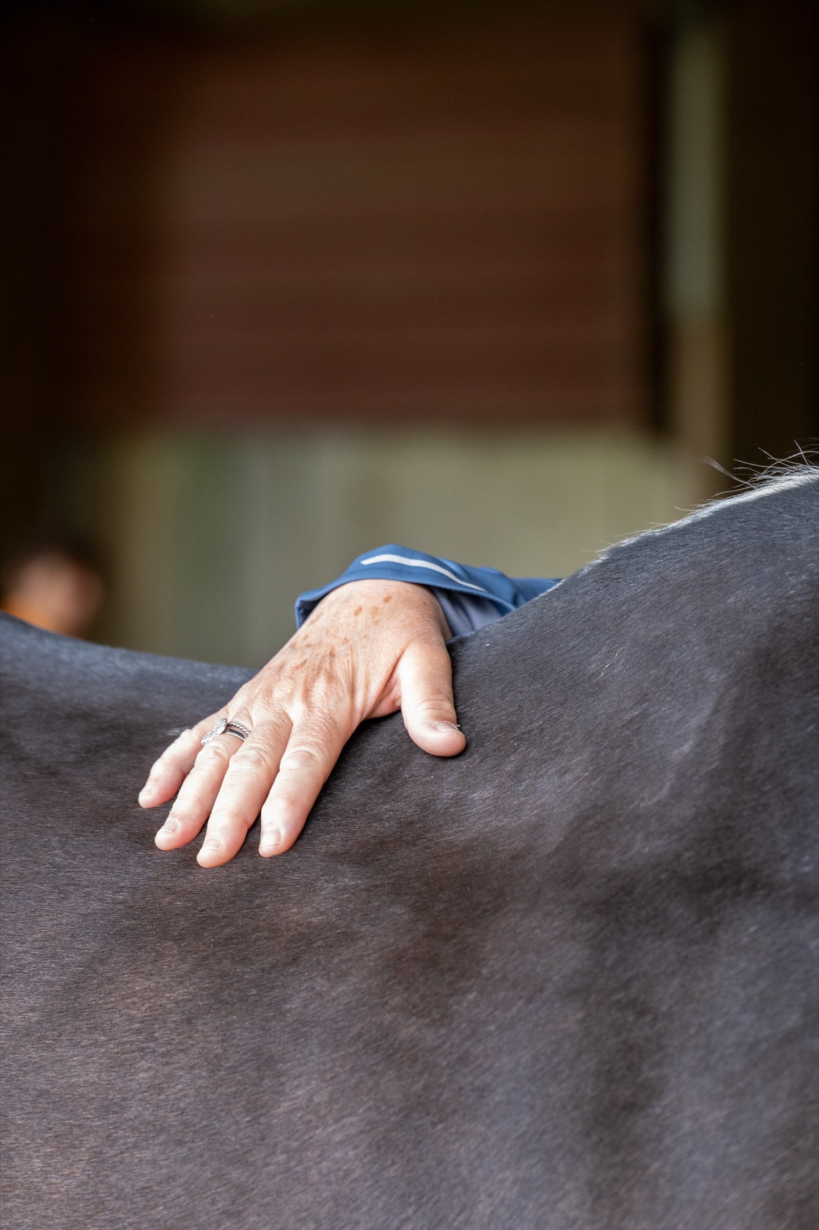 Una mano appoggiata sul dorso di un cavallo durante un esercizio