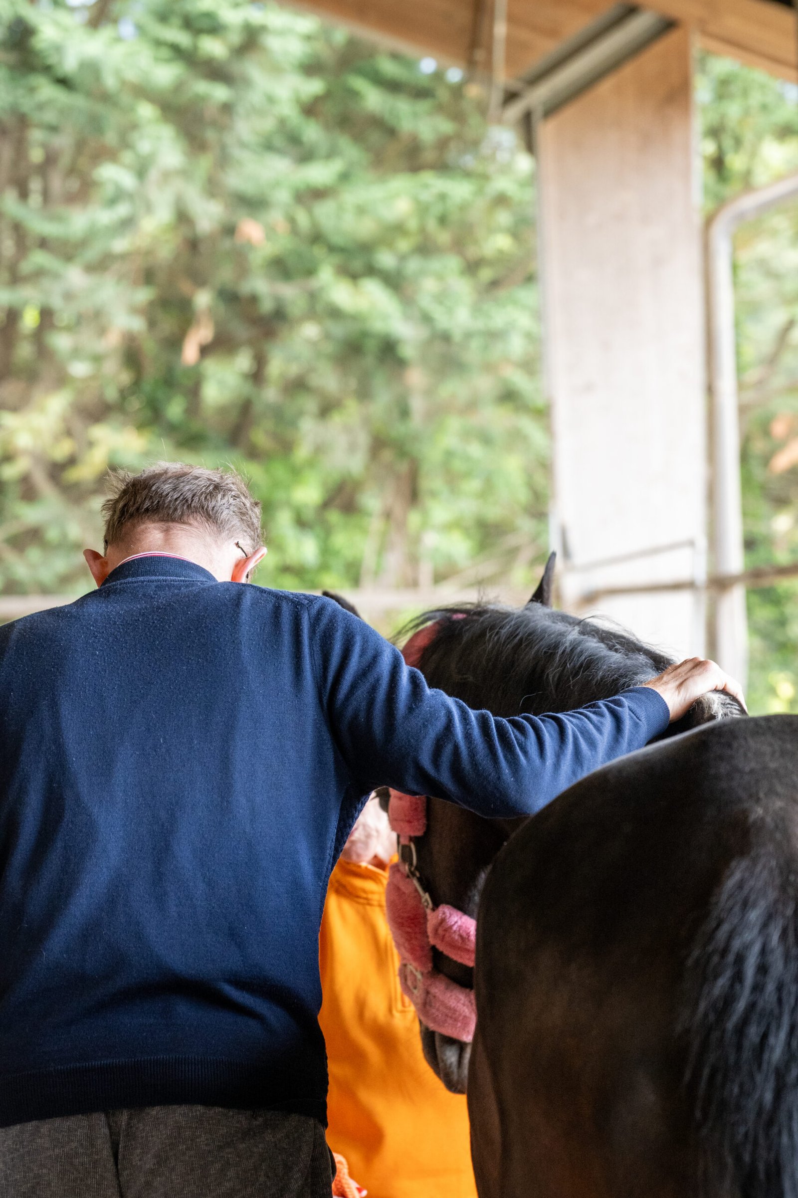 Una persona accarezza il dorso di un cavallo di spalle