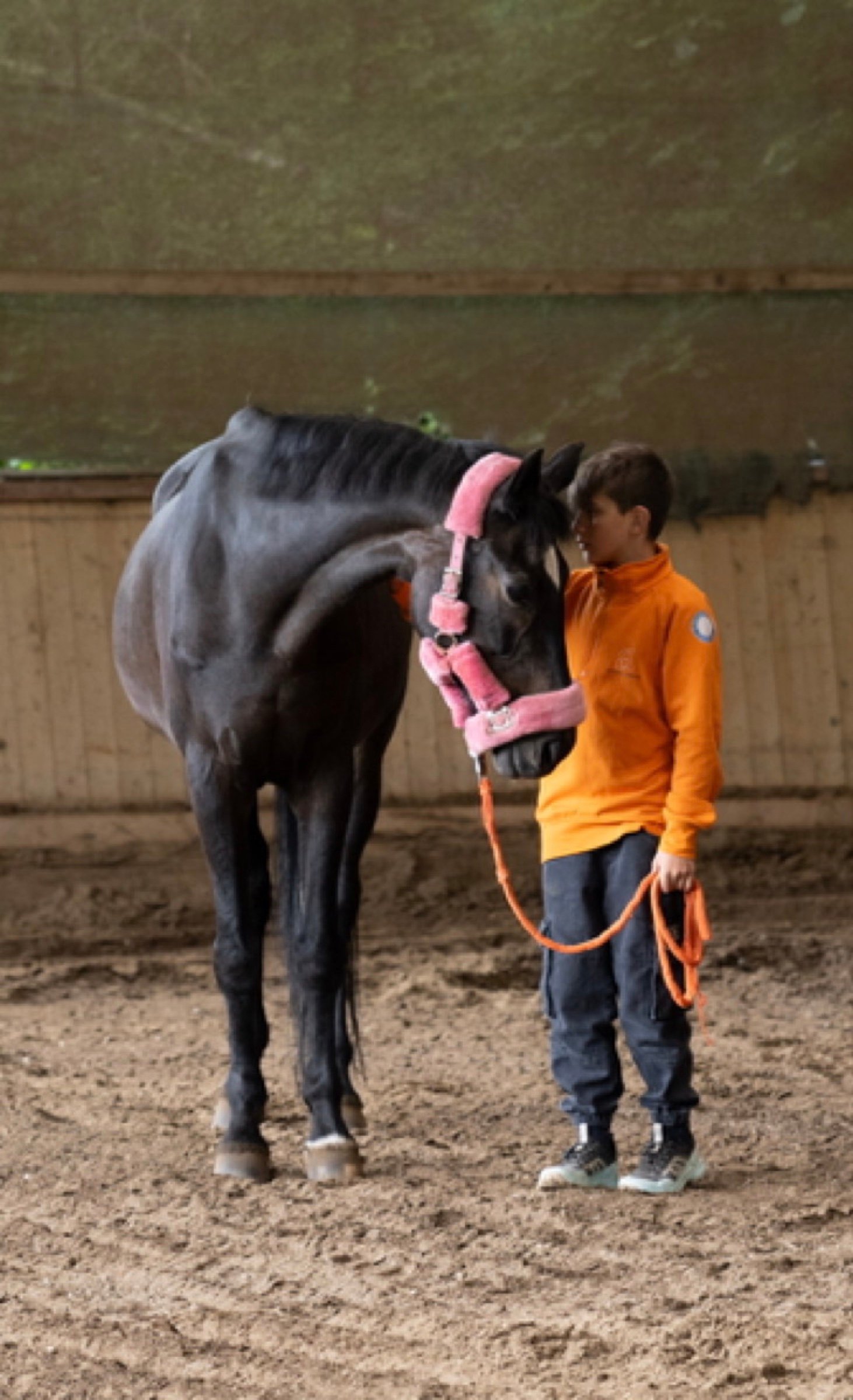 Samu insieme al cavallo Demi